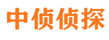 施甸侦探